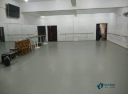 小學(xué)松木舞臺體育場地板施工單位