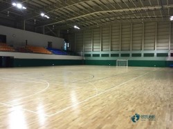 單層龍骨體育運(yùn)動木地板保障
